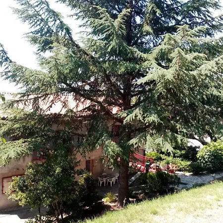 Casa Giardino