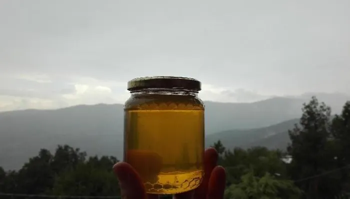 Casa Giardino * Guardiabruna